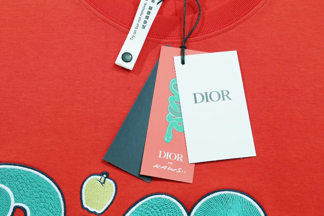 🅿️210 High-quality new DIOR-Dior-25 new Year of the Snake co-branded smudge-dyed snake letter embroidery logo on the chest short-sleeved T-shirt Size: XS-L