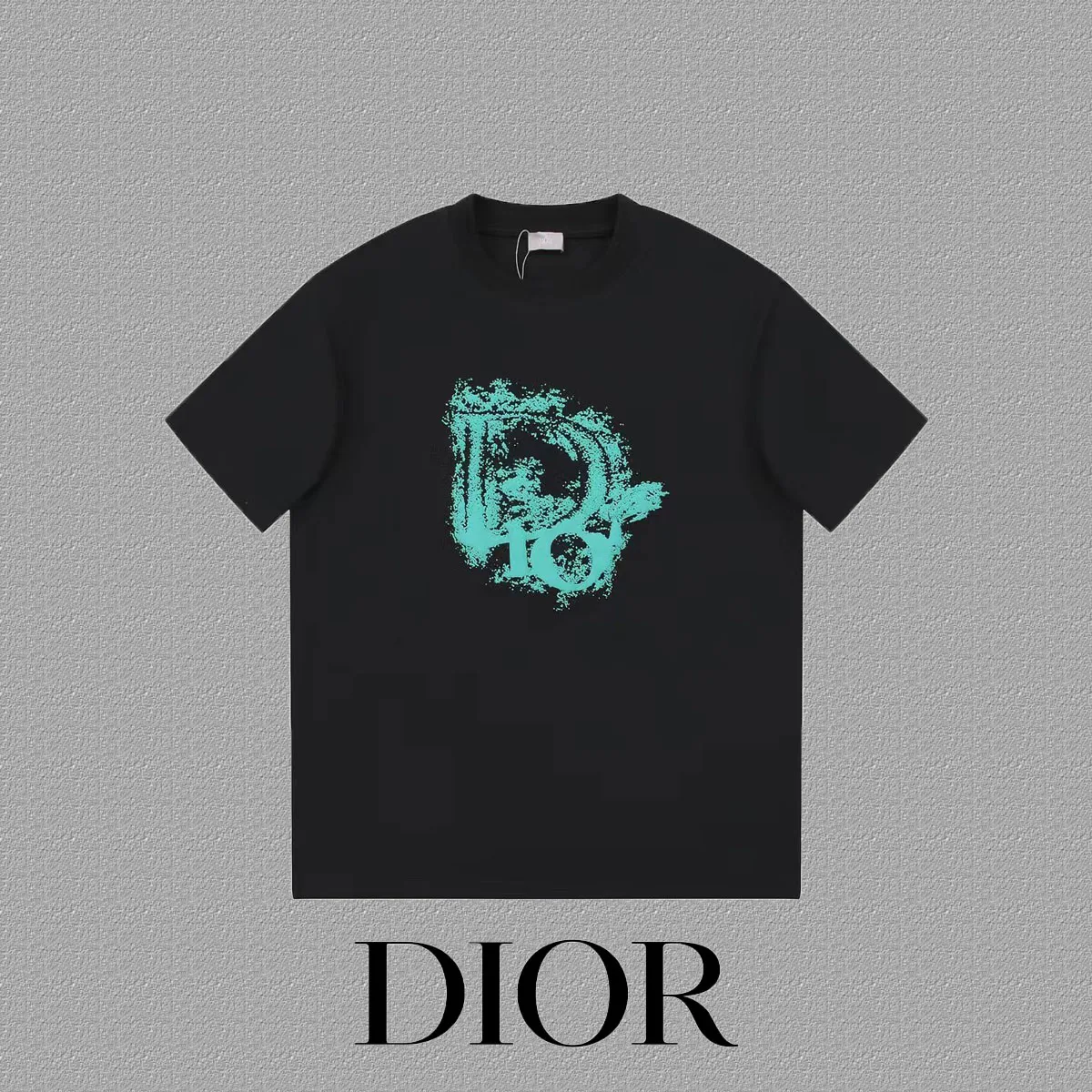 🅿️170 [DIOR Dior] 2025FW short-sleeved T-shirt LOGO printing High-end 26s double yarn 300g fabric Heavy fabric Customized frame ribbing in the same cylinder and dyeing Complete three standards Same style for men and women Color: Black White Size: S M L XL 2XL