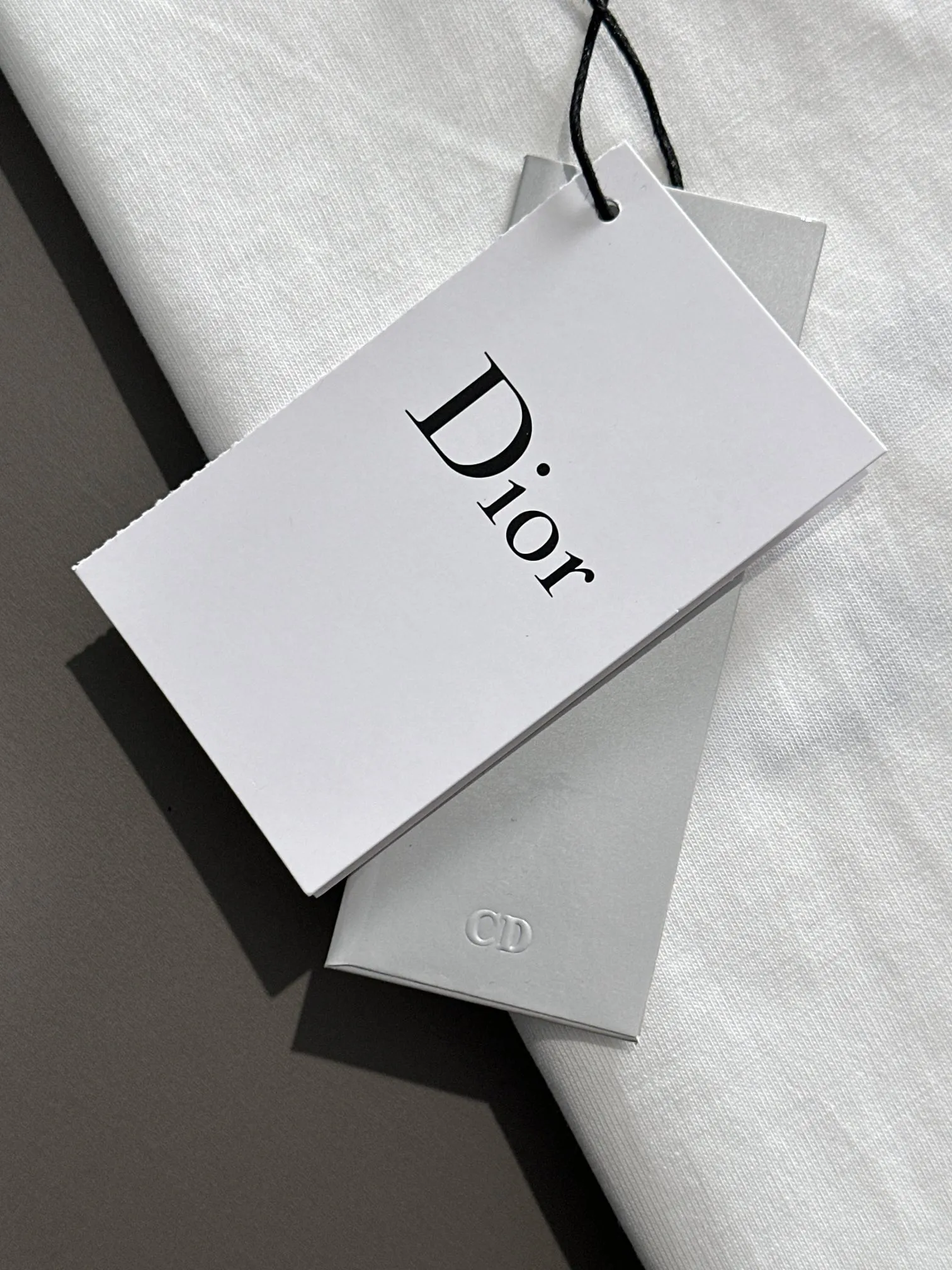 🅿️170 (arrives the next day) Dior 2025 new flower seedling embroidered letter logo Unisex short-sleeved T-shirt ·Customized 260g 100% double yarn pure cotton fabric ·Imported Tajima machine embroidery technology ·Custom dyed 32 double-strand threads ·Collar tag, main mark and three labels complete Color: White Size: XS S M L