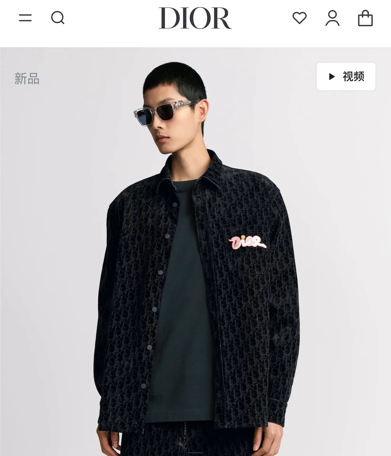 model picture