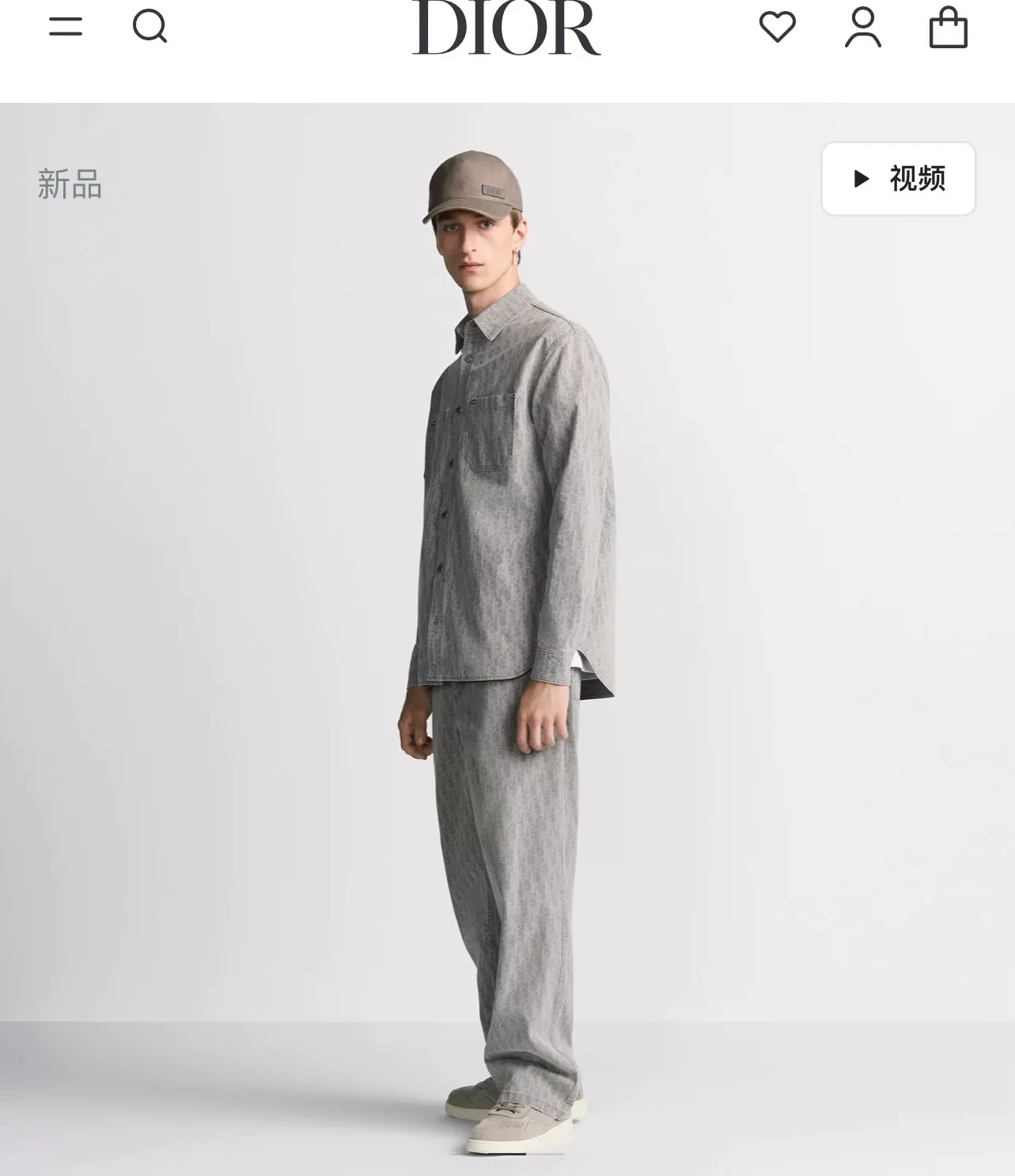model picture