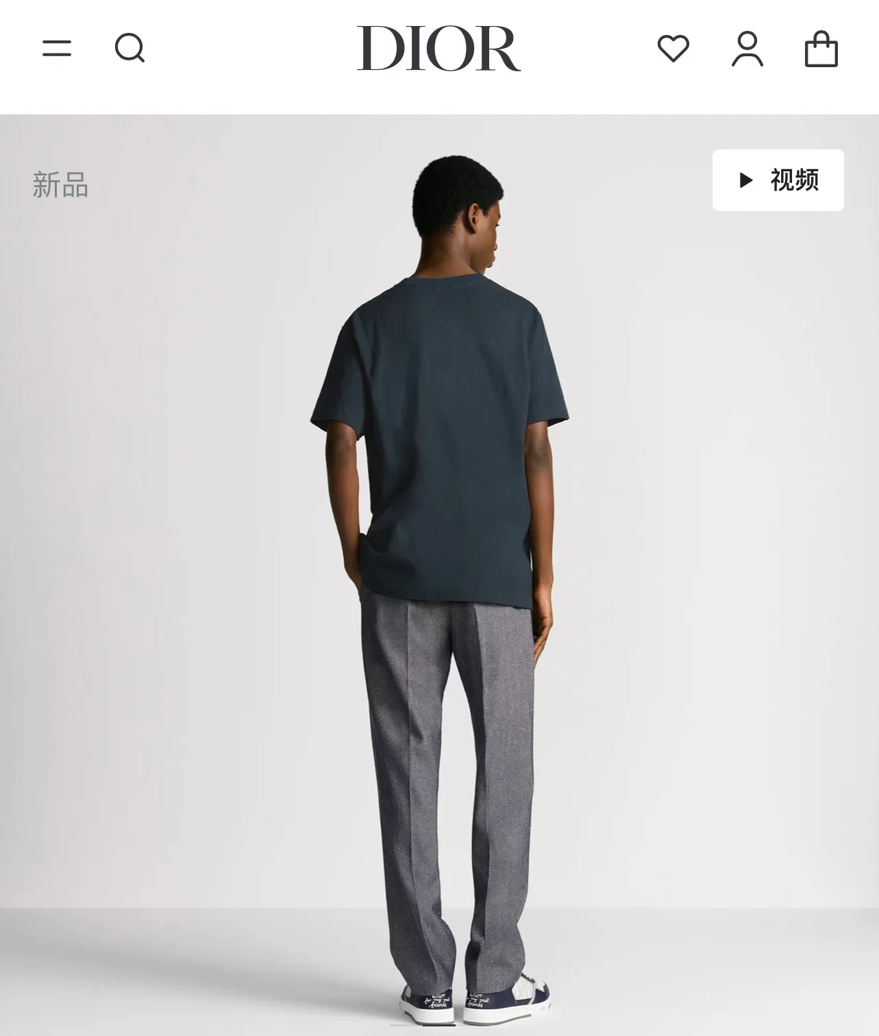 model picture