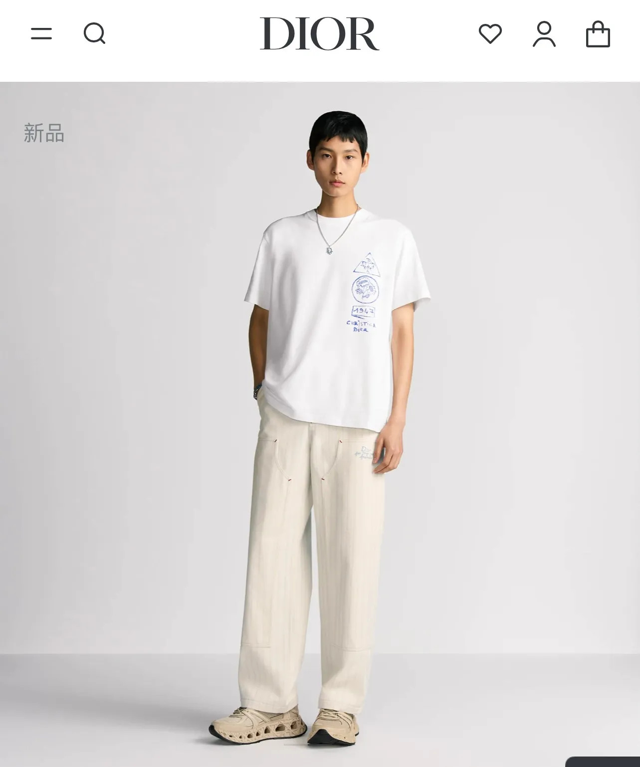 model picture