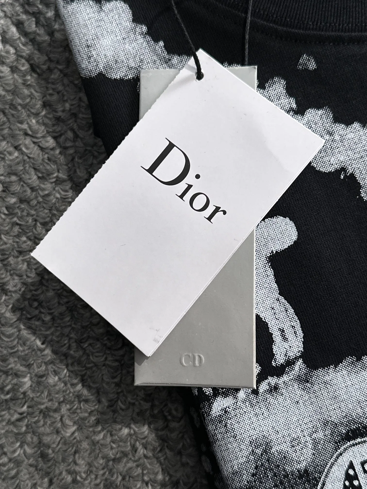 🅿️170 (arrives the next day) Dior 2025 new style inkjet + hand-painted letter logo, same style for men and women, short-sleeved T-shirt ·Customized 260g 100% double yarn pure cotton fabric ·Design dyed 32 count double-strand thread ·Collar tag, main mark and three labels complete Color: black Size: XS S M L