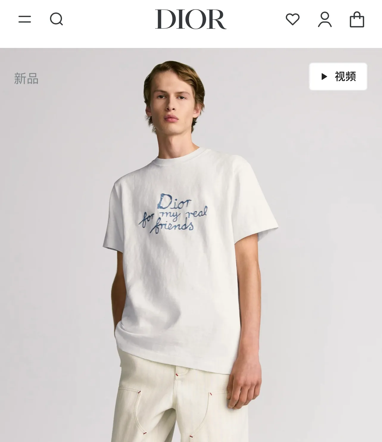 model picture