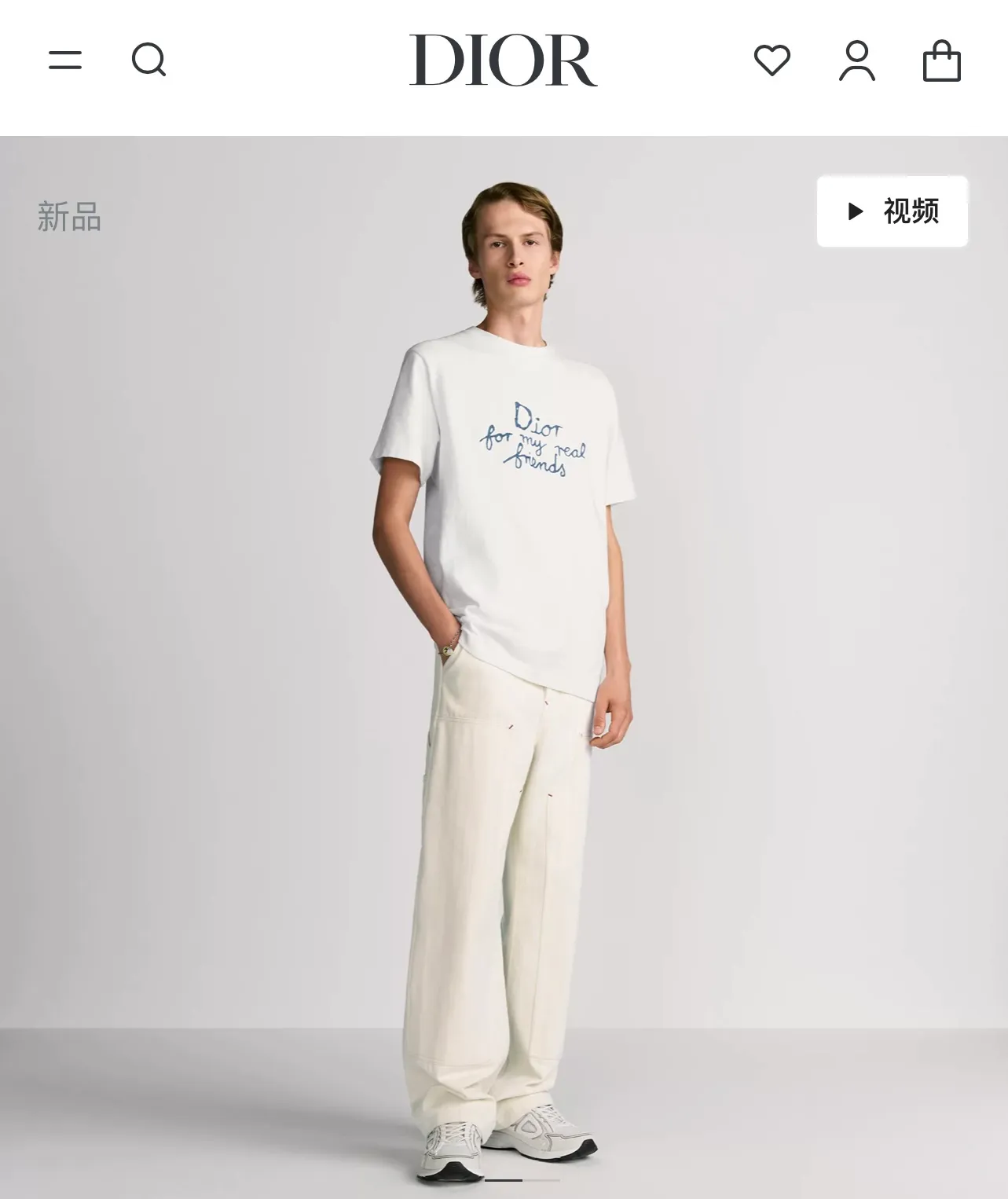 model picture