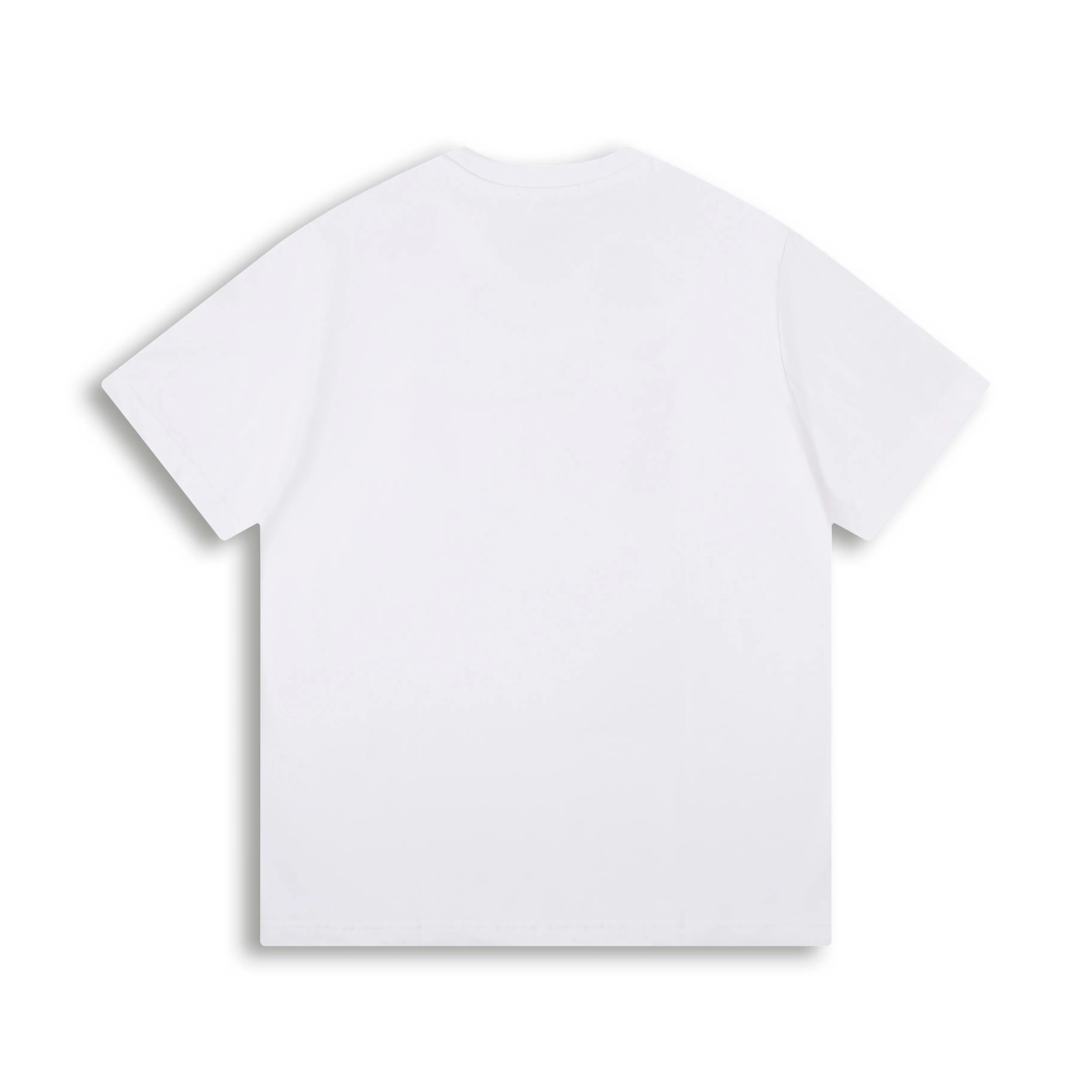 🅿️190 Correct version of high-quality DIO*X kaws 25ss Year of the Snake series embroidered short-sleeved T-shirt. Made of 21s double yarn cotton plain fabric. Purchased the Y version [AB color] to analyze the dye ratio, order and dye the bulk fabric thread color, the front panel is embroidered with Tajima embroidery machine imported from Japan, mercerized multi-color hemming embroidery method, matching new Year of the Snake co-branded hangtag.  SIZE: XS S M L