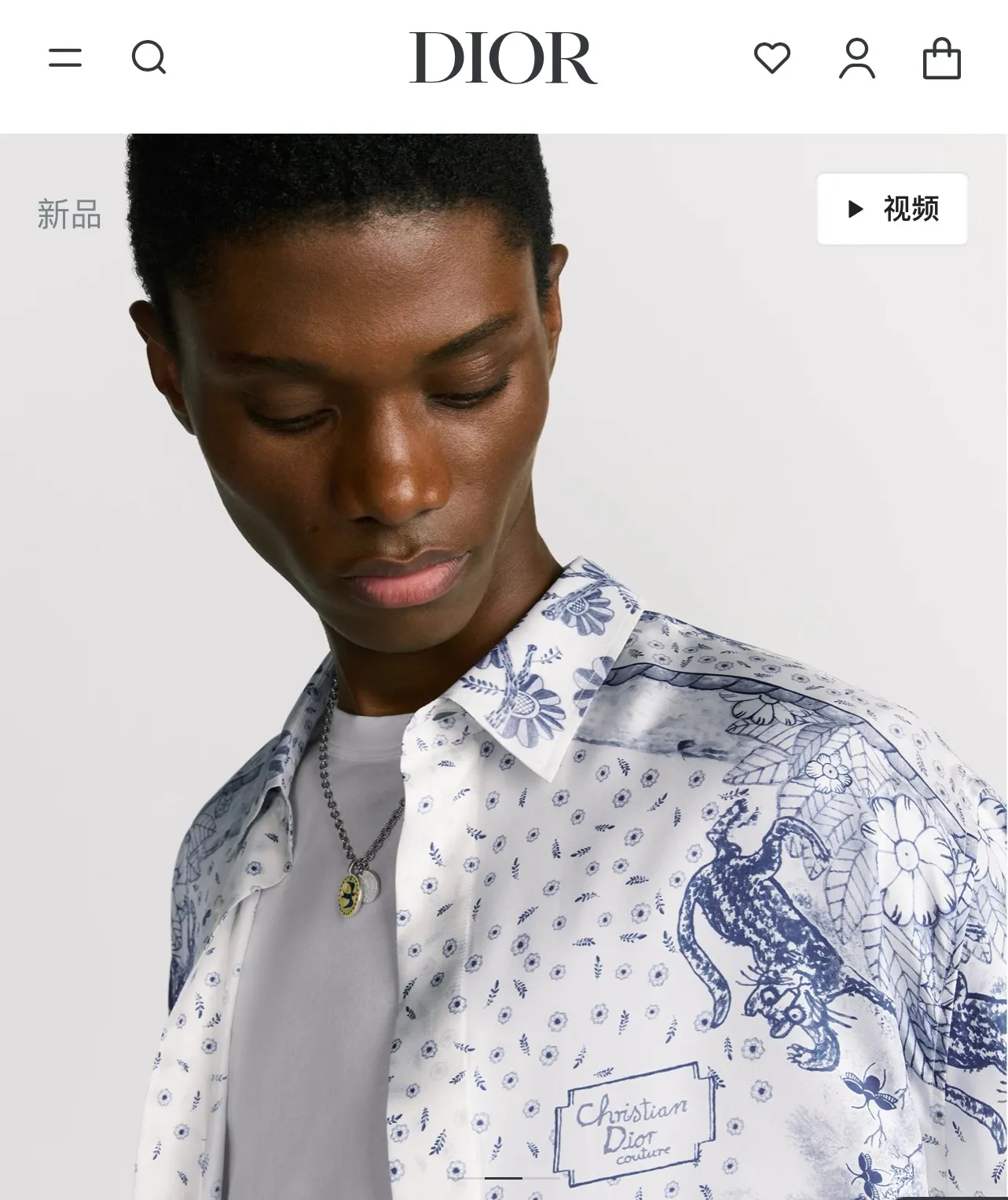 model picture