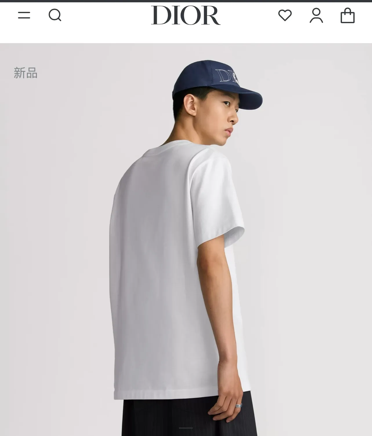 model picture