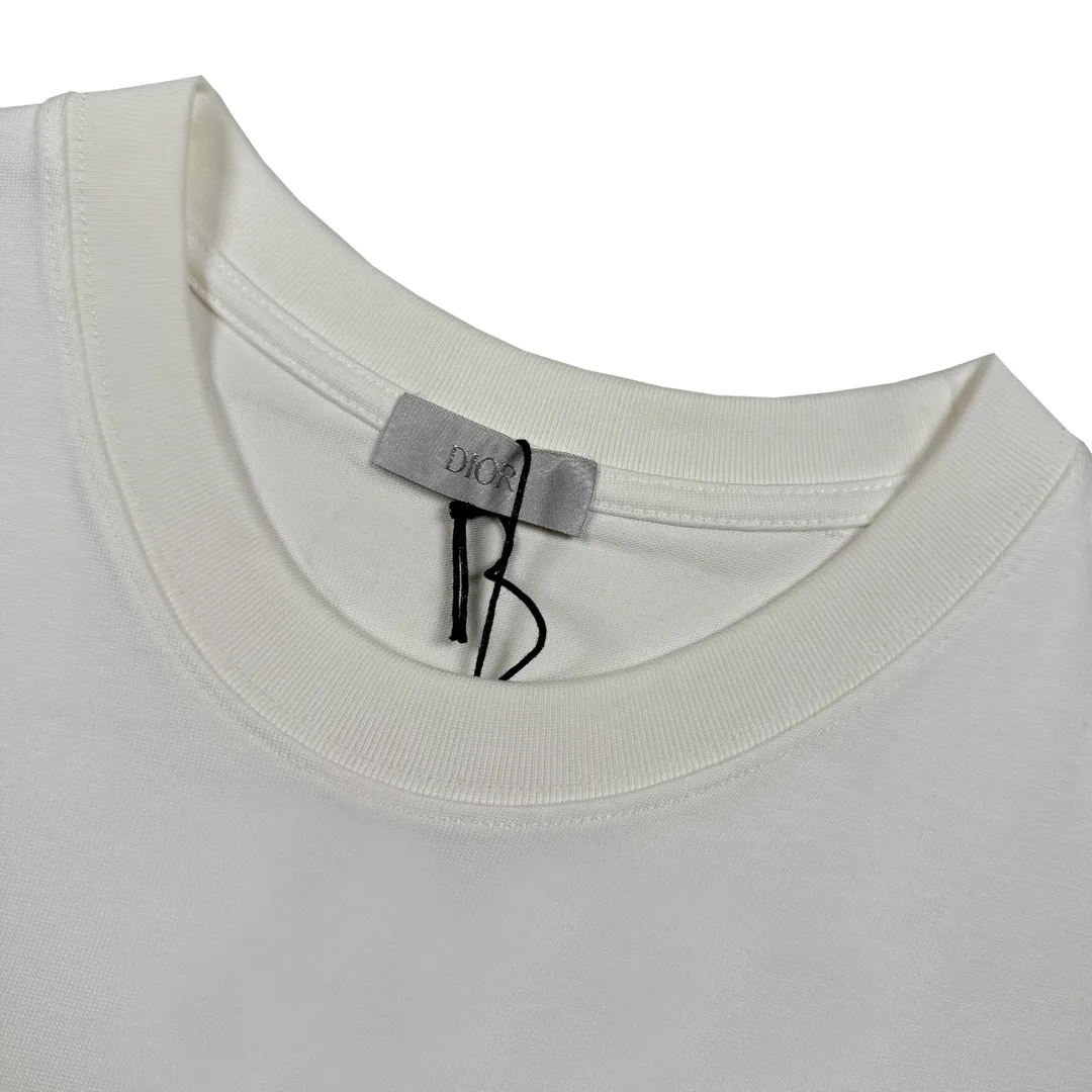 🅿️230 CD Year of the Snake embroidered gradient short sleeves Size XS-L