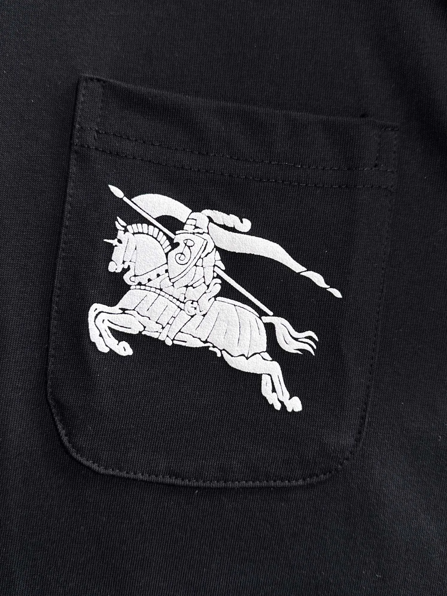 🅿️170 (arrives the next day) Dior 2025 new style chest pocket flocked war horse logo flocked stripe decoration same style for men and women short-sleeved T-shirt ·Customized 260g 100% double yarn pure cotton fabric ·Custom dyed 32 counts double thread ·Collar tag, main mark and three labels complete Color: black Size: XS S M L