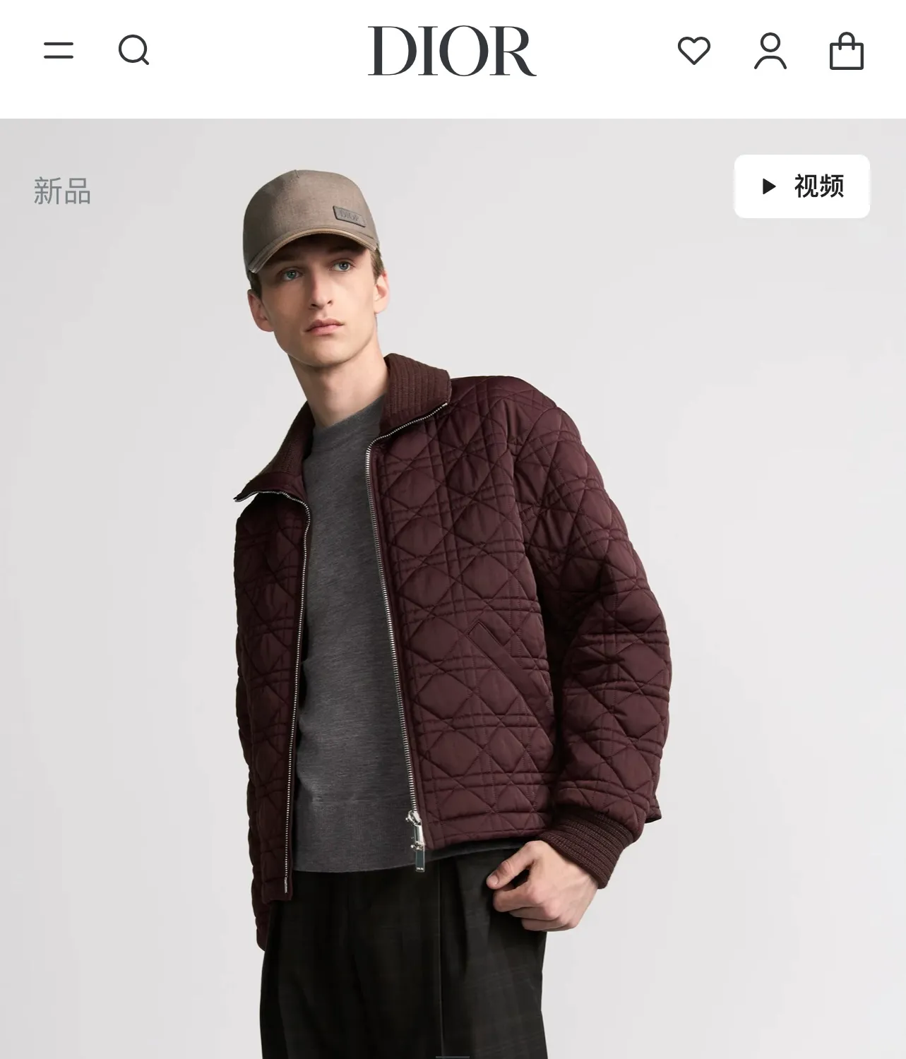 model picture
