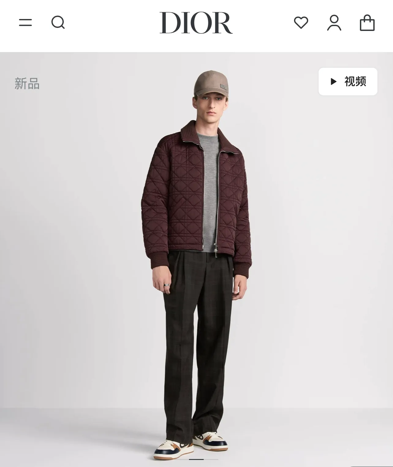 model picture