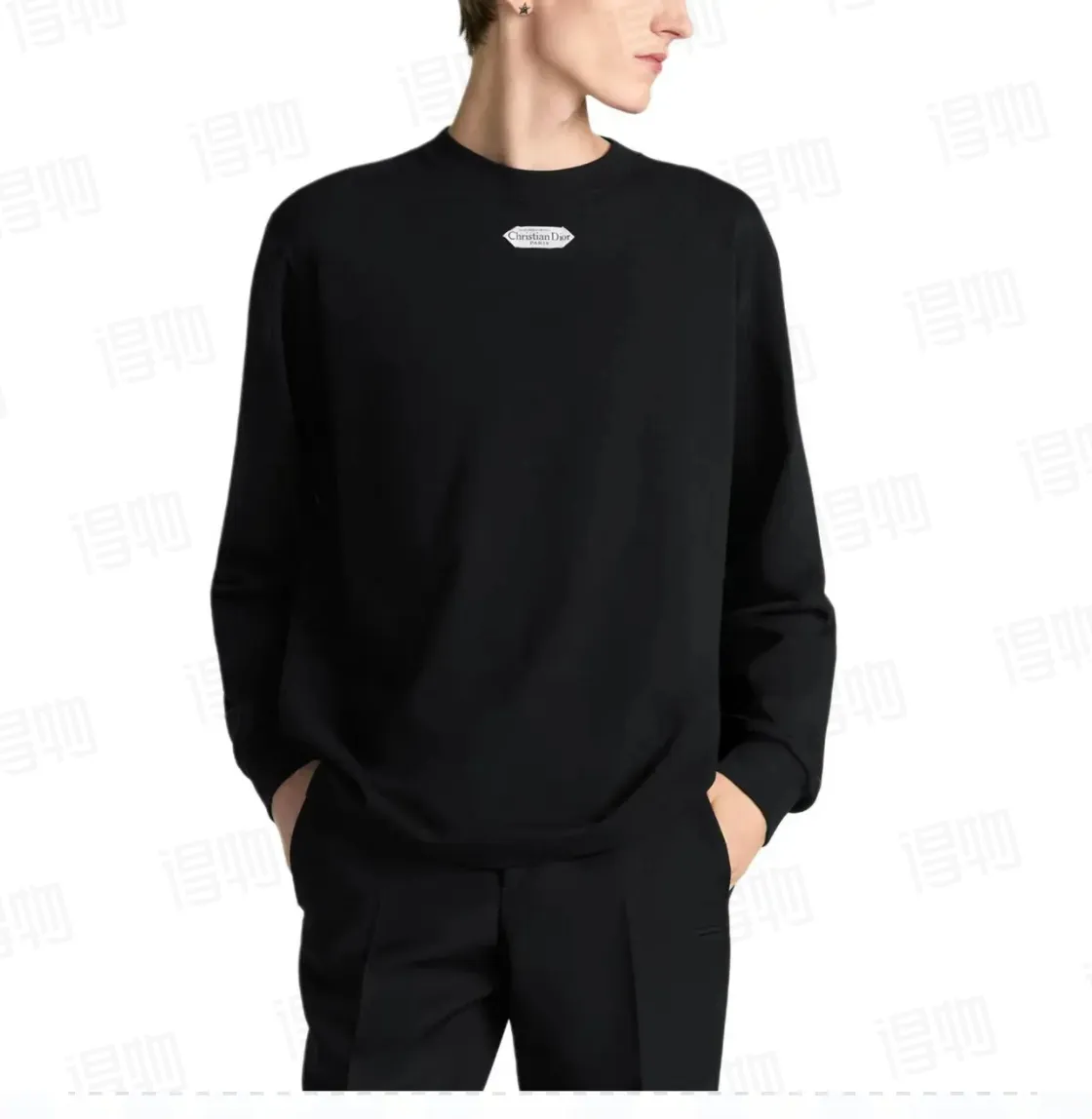 model picture