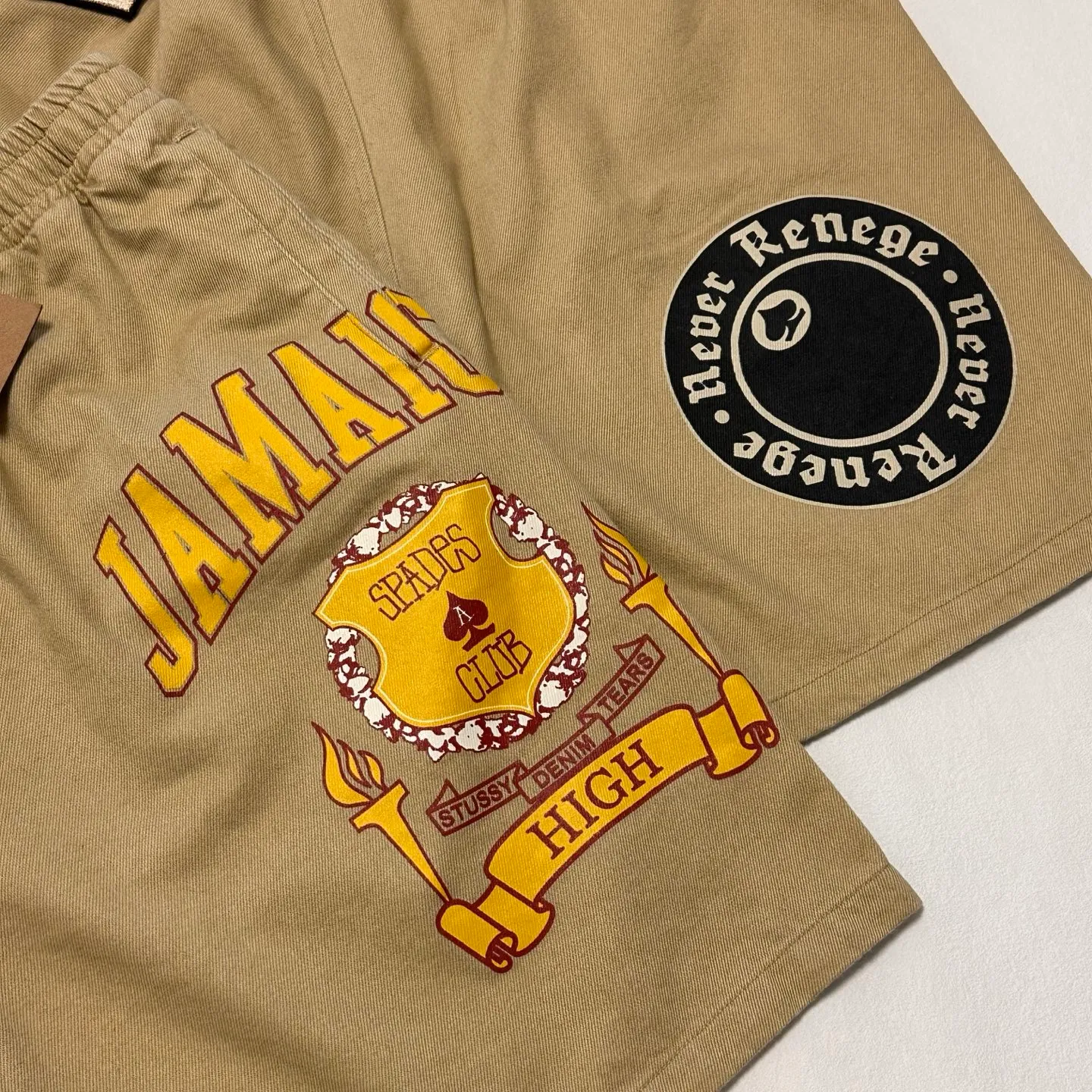 Detailed shooting of DT shorts STUSSY