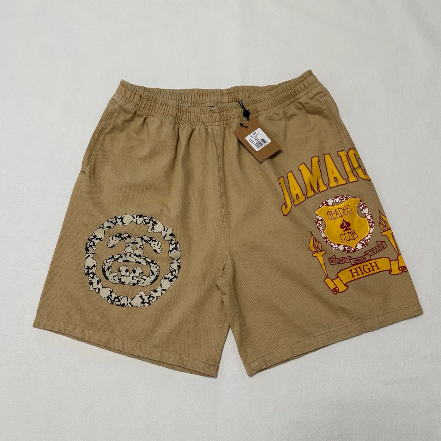 DT shorts STUSSY