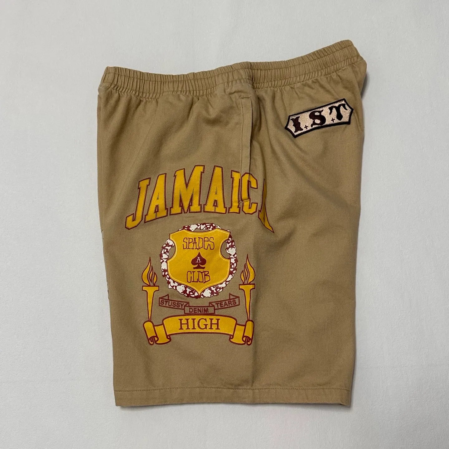 DT shorts STUSSY