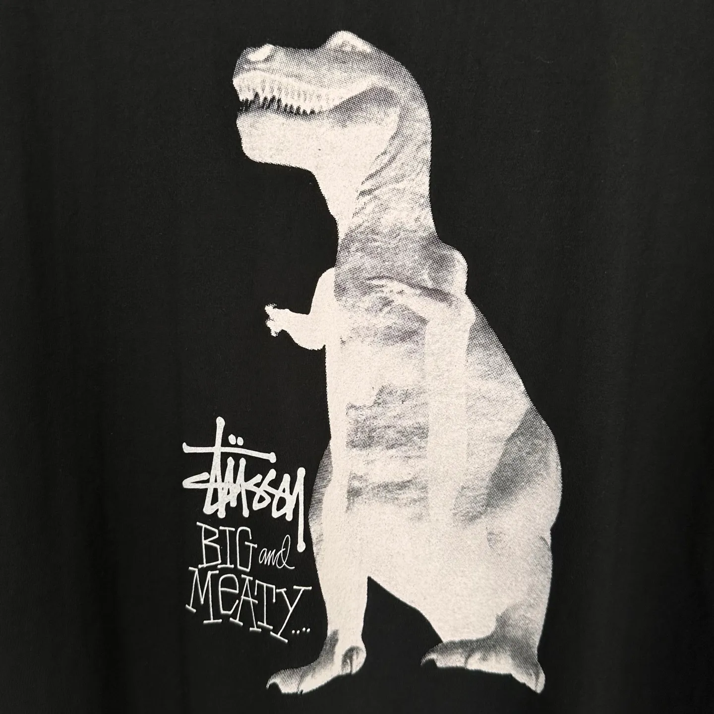 Tyrannosaurus Rex T-shirt STUSSY SS25 BIG & MEATY TEE PIGMENT DYED Dinosaur pattern short-sleeved black and white S- XL