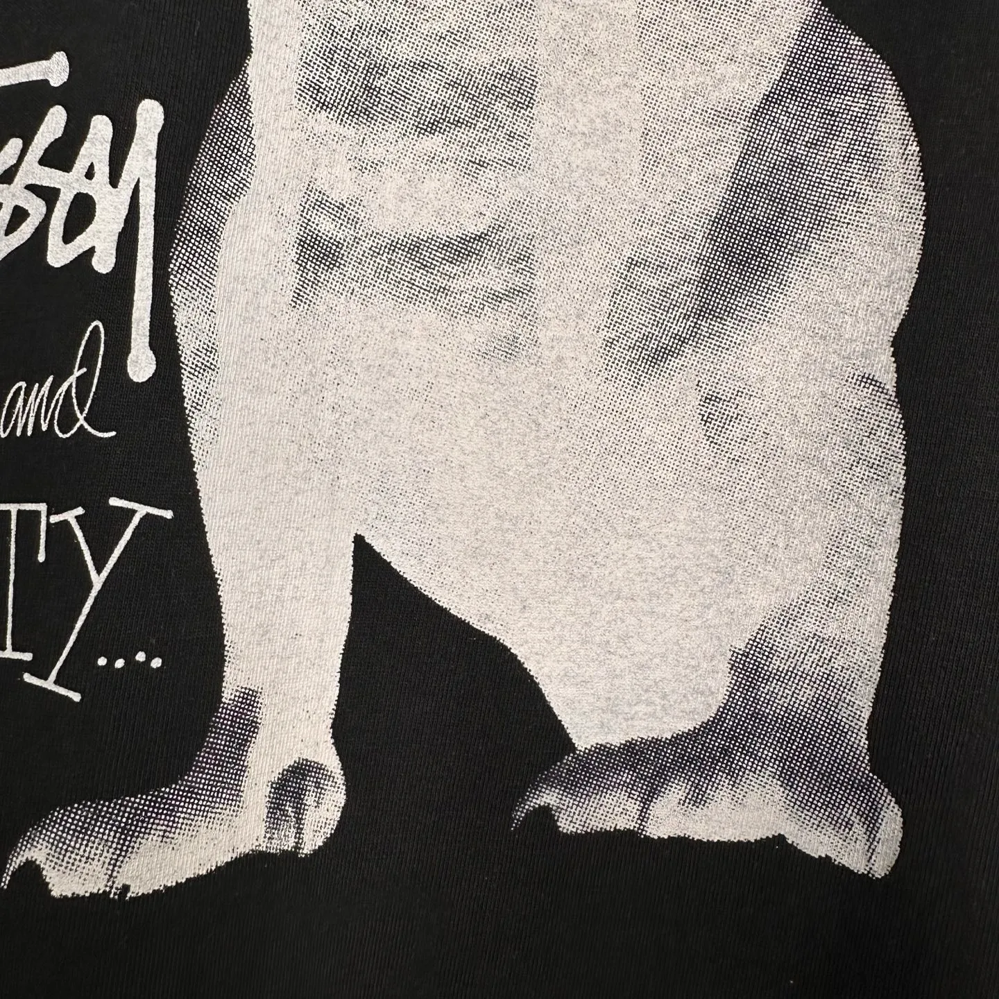 Tyrannosaurus Rex T-shirt STUSSY SS25 BIG & MEATY TEE PIGMENT DYED Dinosaur pattern short-sleeved black and white S- XL