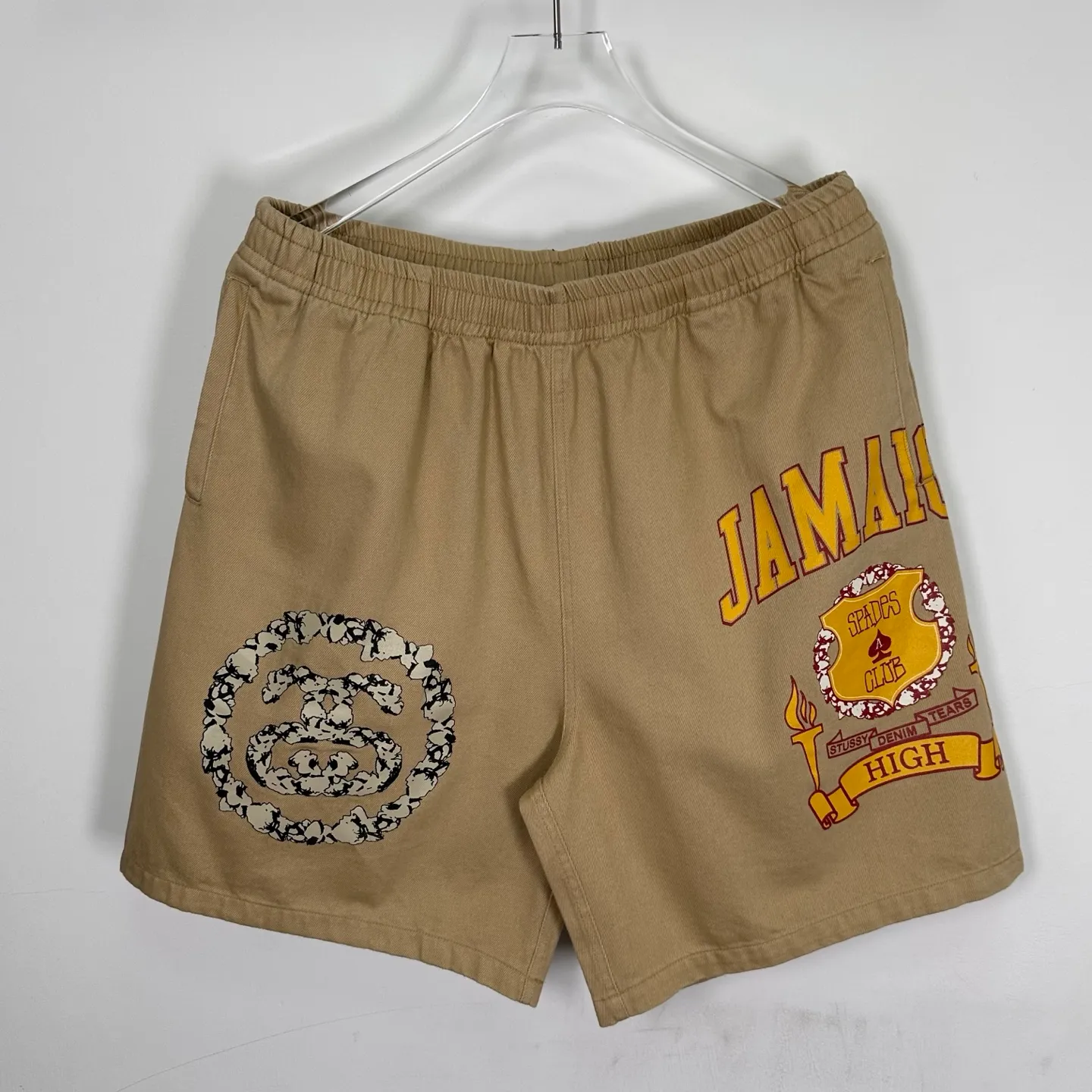 DT shorts STUSSY