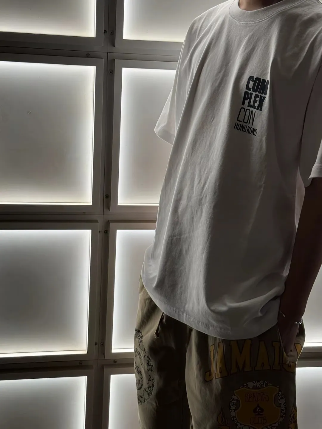 DT shorts STUSSY