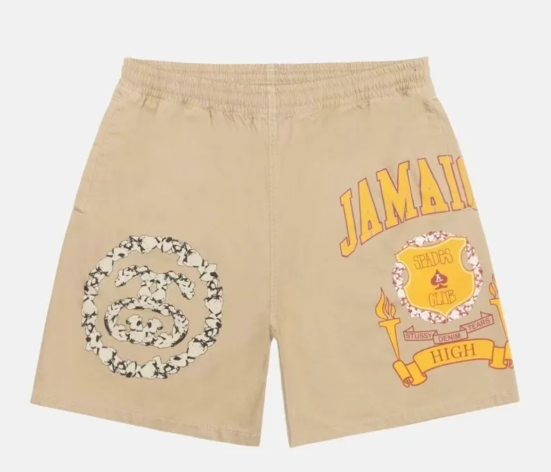 DT shorts STUSSY