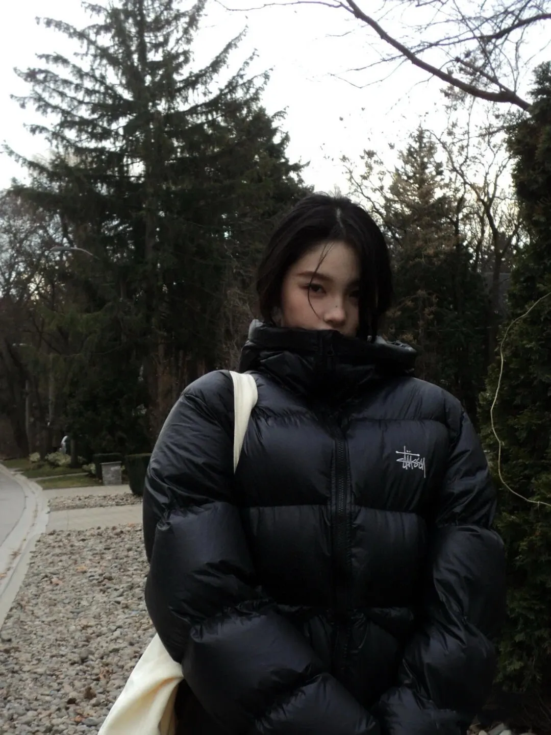 Stussy/Stussy 22Fw classic letter hooded down jacket, black, gray, black and pink, S-XL, filled with national standard 90 velvet/average 450g of velvet. It has a Michelin effect when you put it on. 800 puffs, fluffy and warm, full and light.
