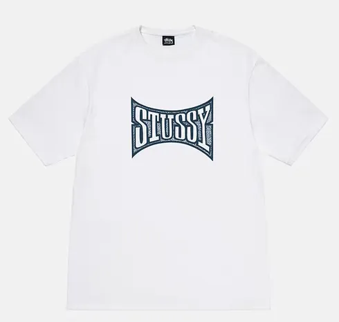 Replacement order and return of goods! Champion flag T-shirt STUSSY FW24 CHAMPION TEE black and white S-XL