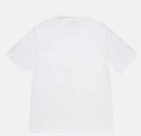 Replacement order and return of goods! Champion flag T-shirt STUSSY FW24 CHAMPION TEE black and white S-XL