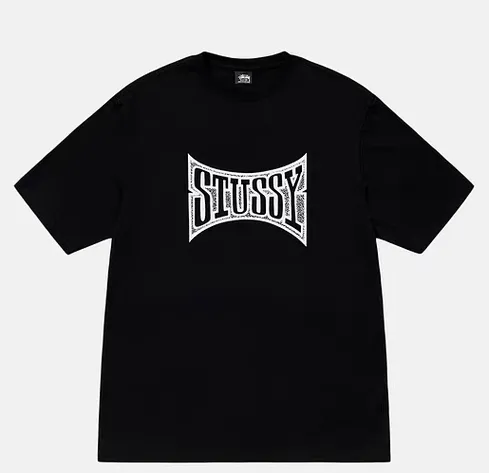 Replacement order and return of goods! Champion flag T-shirt STUSSY FW24 CHAMPION TEE black and white S-XL