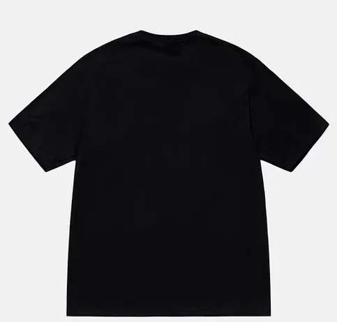 Replacement order and return of goods! Champion flag T-shirt STUSSY FW24 CHAMPION TEE black and white S-XL