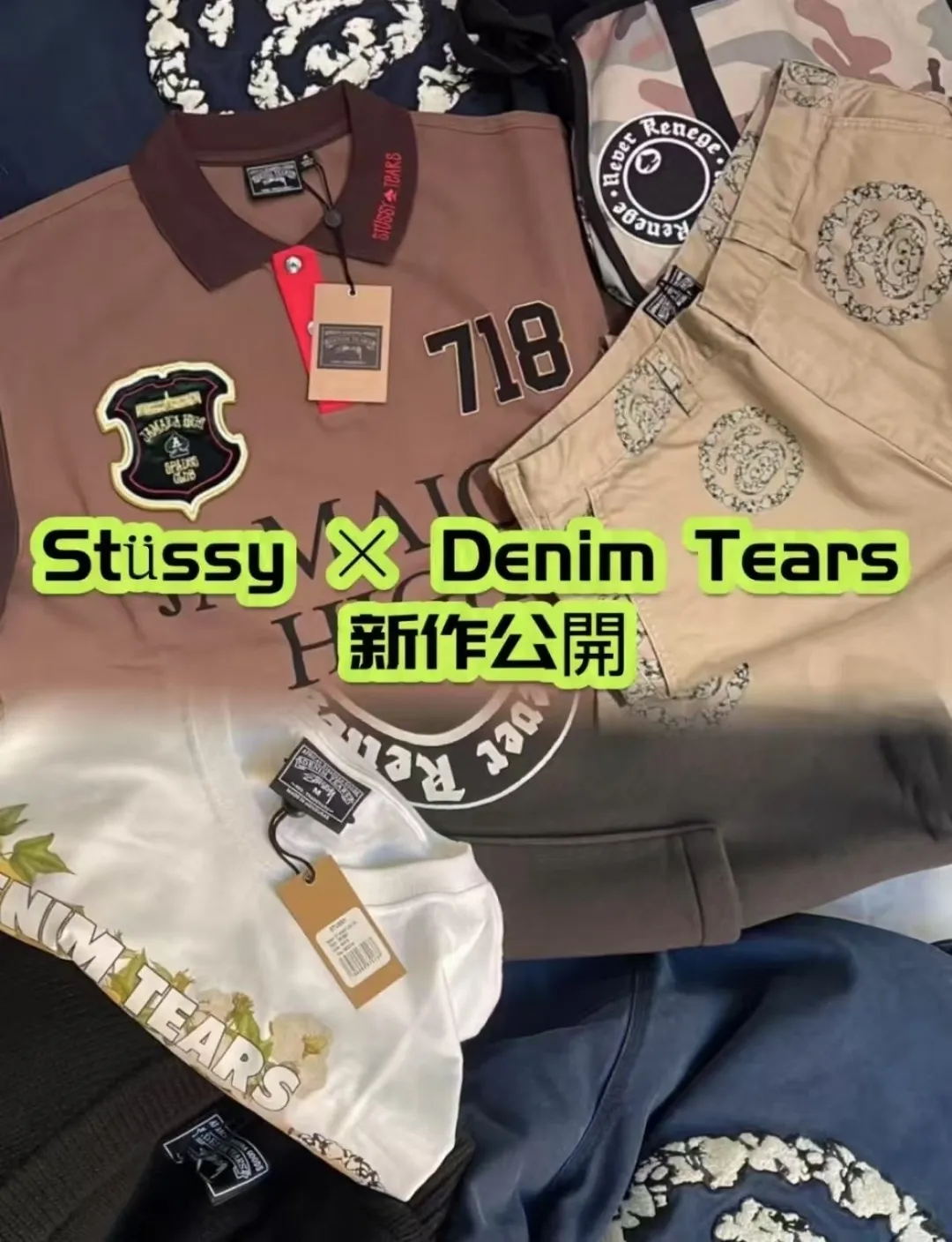 DT short-sleeved STUSSY X DENIM joint model SS25 TEARS ANNIE LEE TEE white S- XL