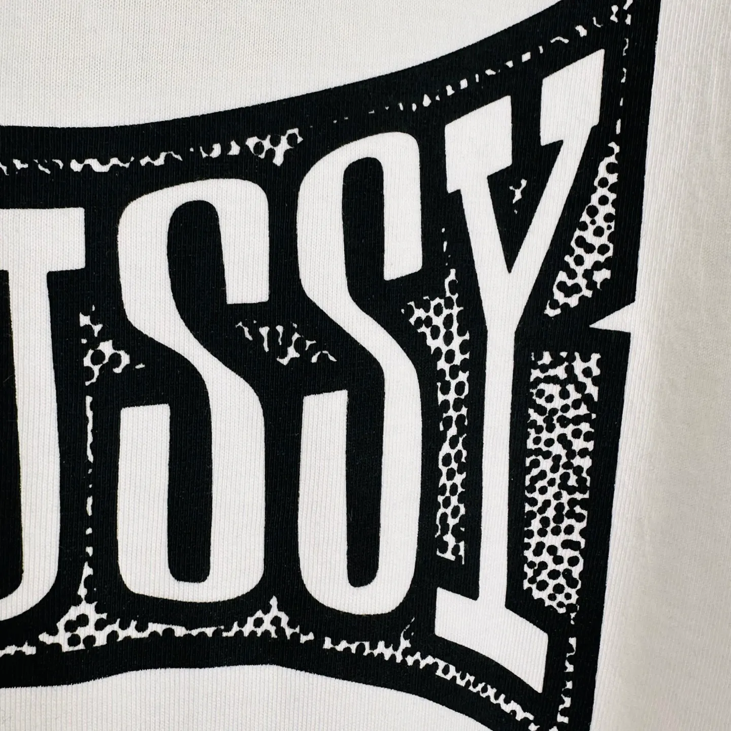 Replacement order and return of goods! Champion flag T-shirt STUSSY FW24 CHAMPION TEE black and white S-XL