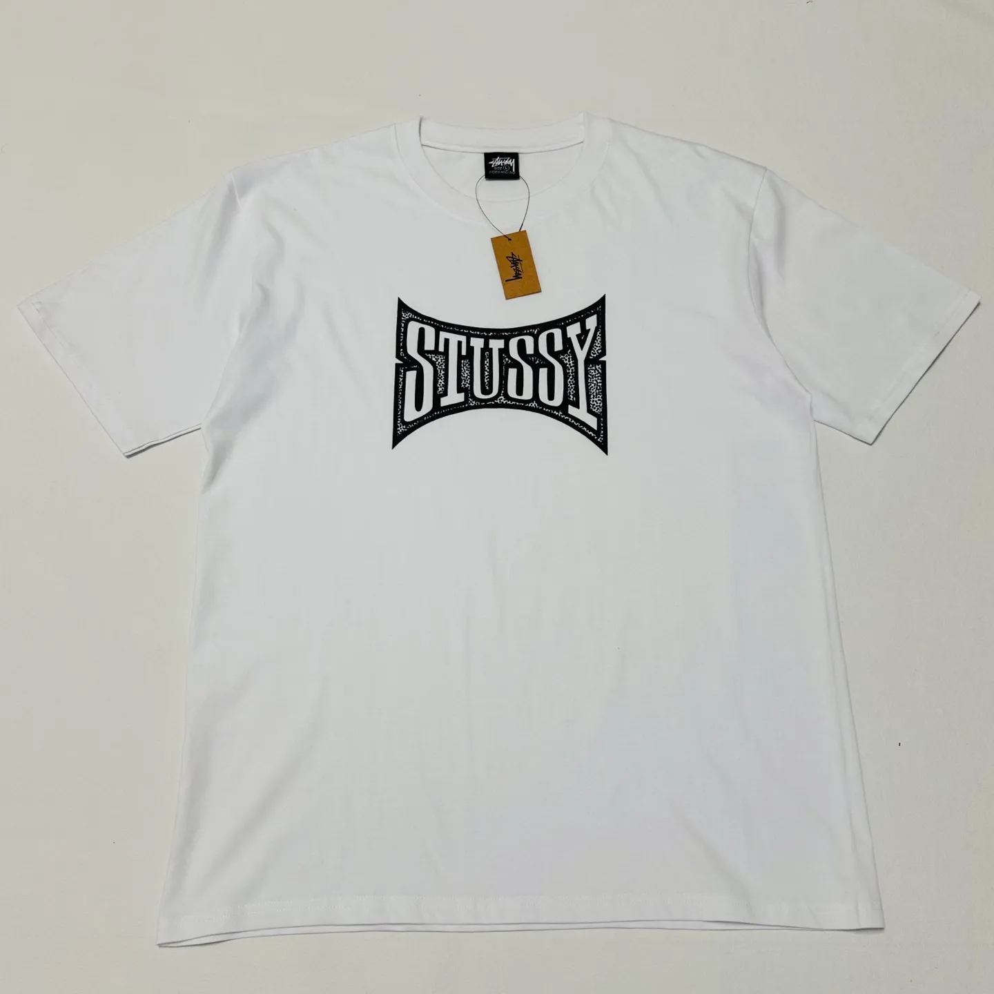 Replacement order and return of goods! Champion flag T-shirt STUSSY FW24 CHAMPION TEE black and white S-XL