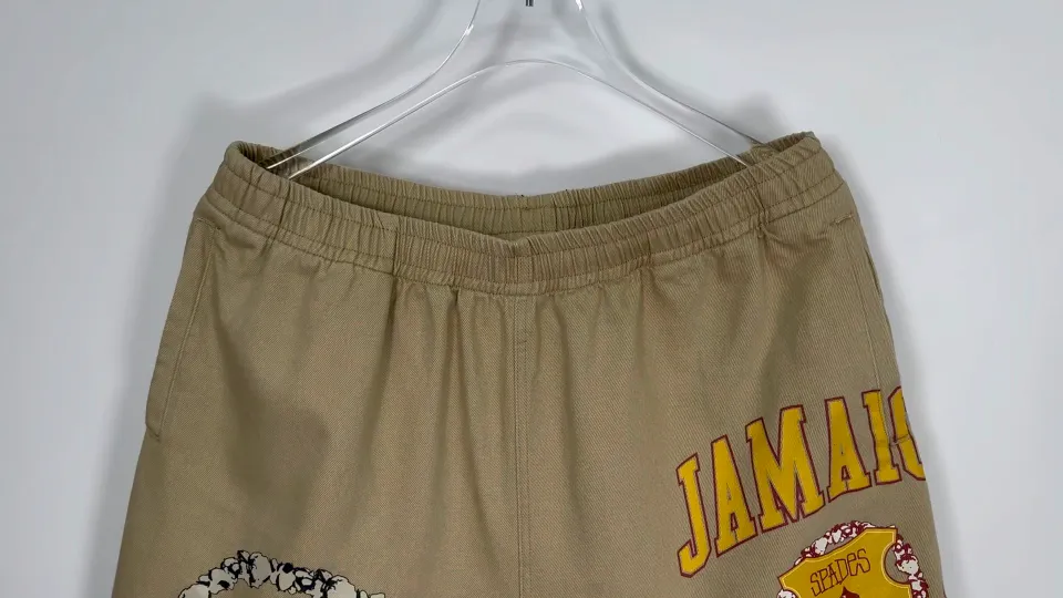 DT shorts STUSSY