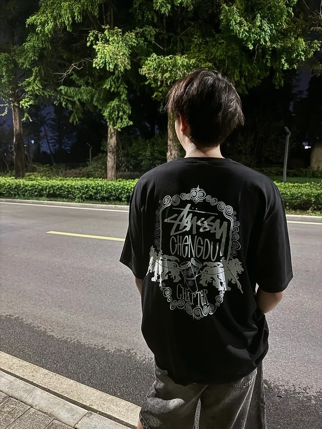 Lion T-shirt STUSSY 24FW CHENGDU CHAPTER TEE Chengdu limited short-sleeved Tee black and white S-XL