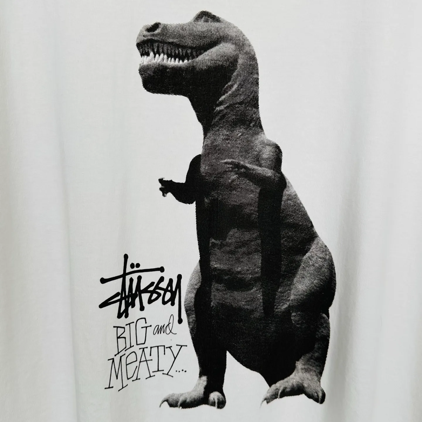 Tyrannosaurus Rex T-shirt STUSSY SS25 BIG & MEATY TEE PIGMENT DYED Dinosaur pattern short-sleeved black and white S- XL