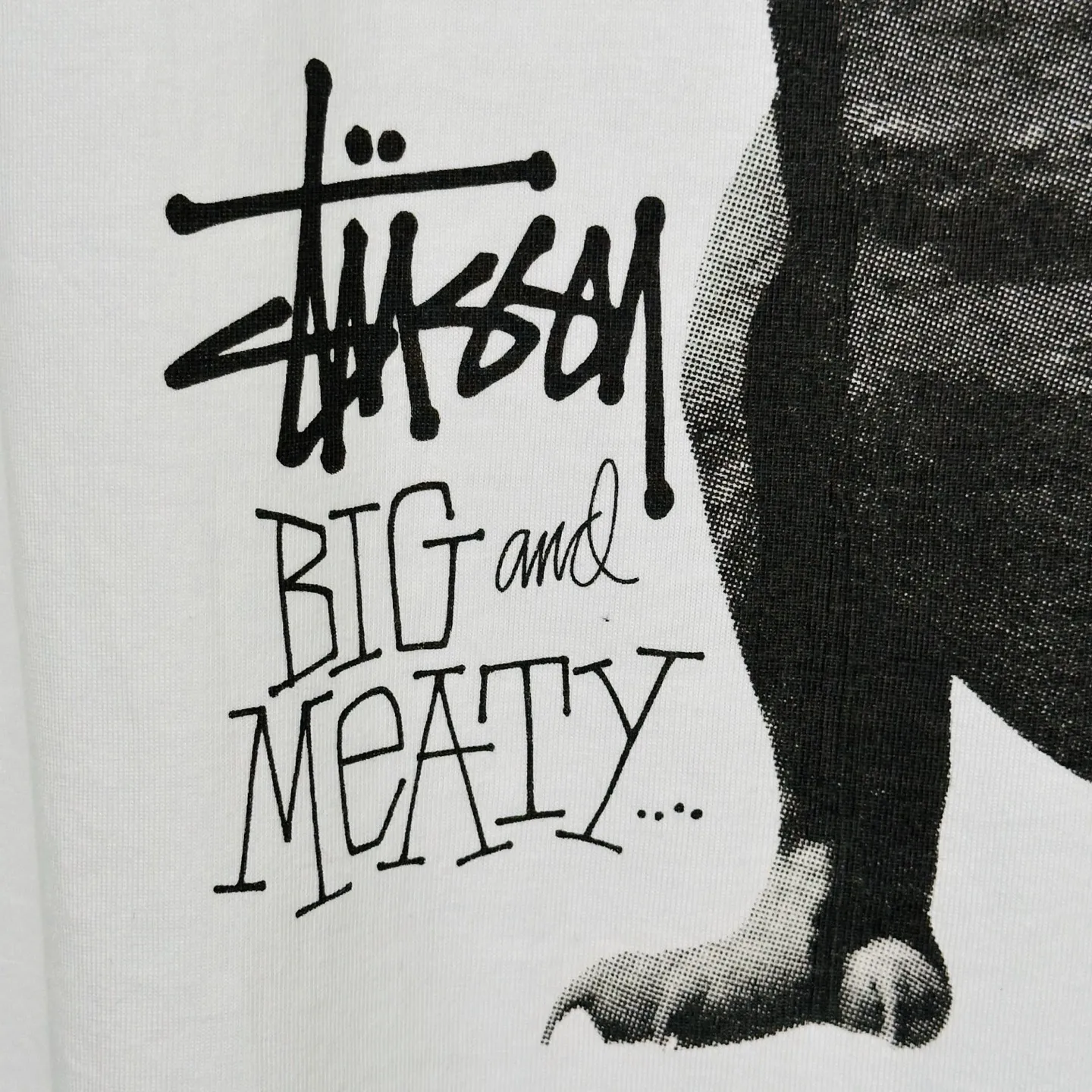 Tyrannosaurus Rex T-shirt STUSSY SS25 BIG & MEATY TEE PIGMENT DYED Dinosaur pattern short-sleeved black and white S- XL