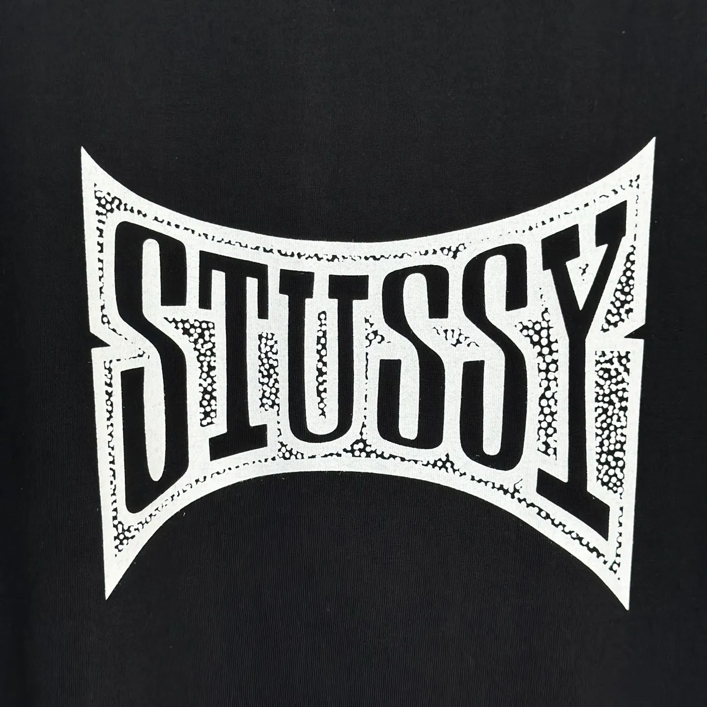 Champion flag T-shirt STUSSY FW24 CHAMPION TEE black and white S-XL