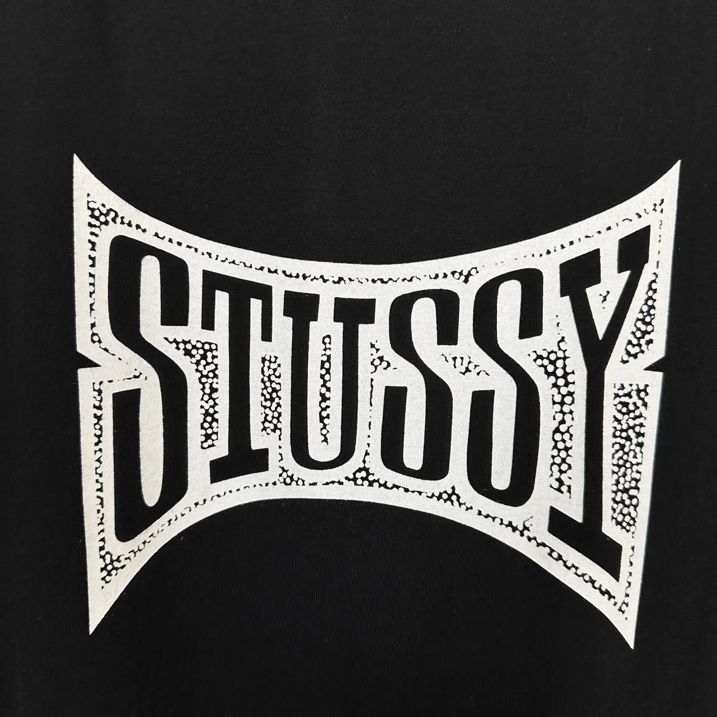 Champion flag T-shirt STUSSY FW24 CHAMPION TEE black and white S-XL