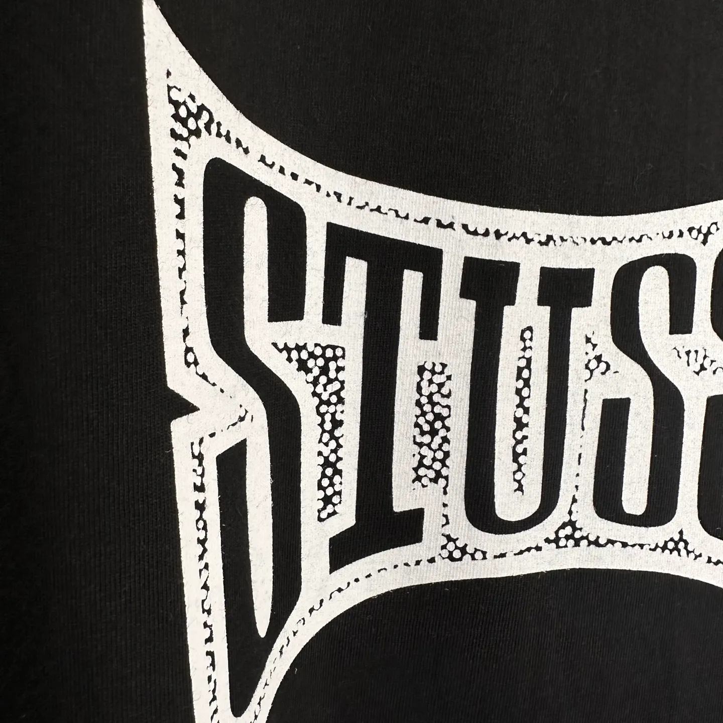 Champion flag T-shirt STUSSY FW24 CHAMPION TEE black and white S-XL