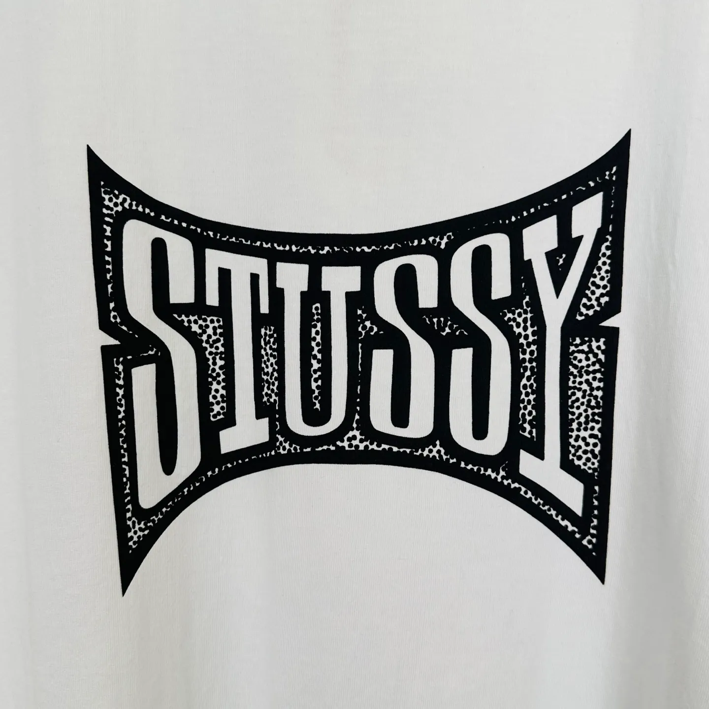 Champion flag T-shirt STUSSY FW24 CHAMPION TEE black and white S-XL