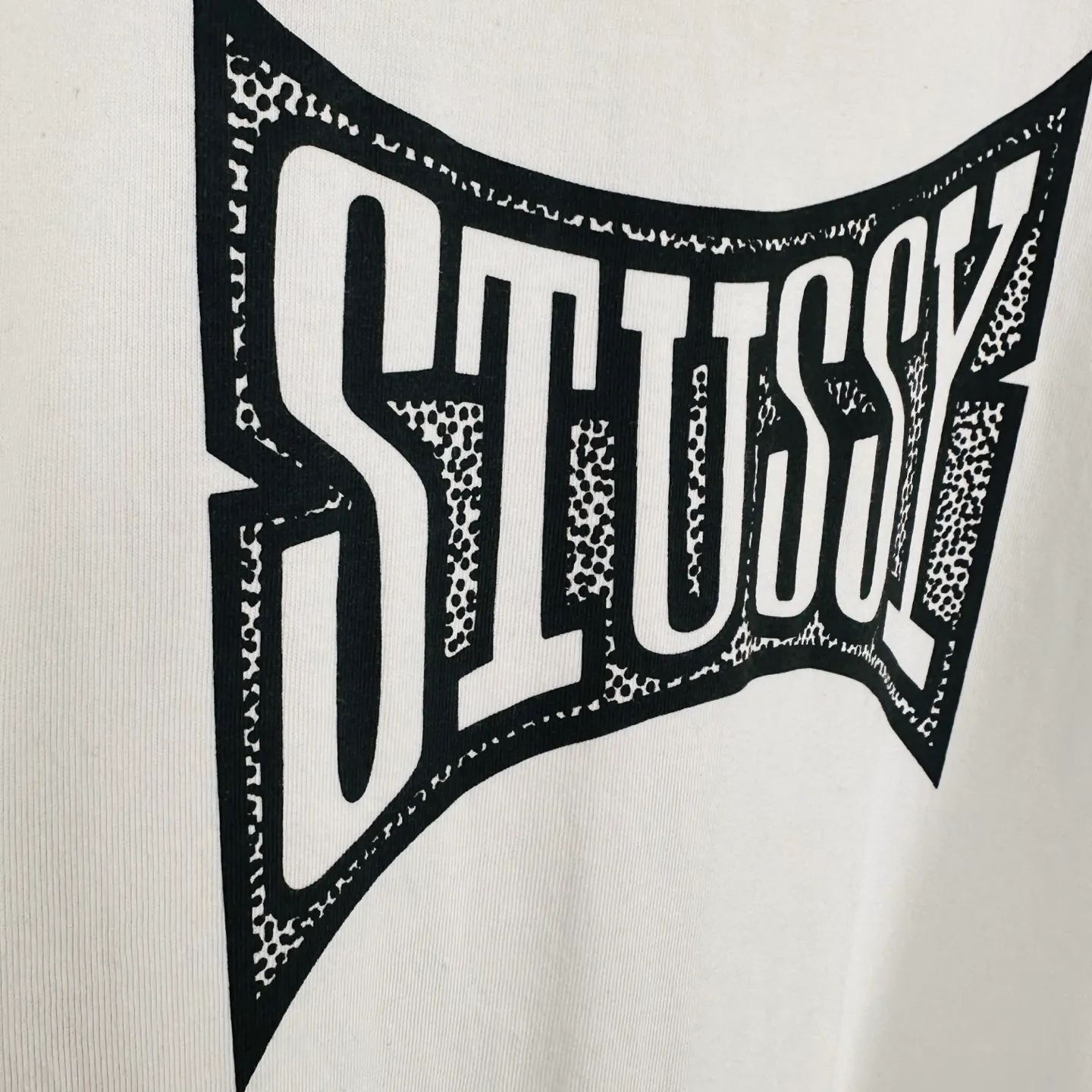 Champion flag T-shirt STUSSY FW24 CHAMPION TEE black and white S-XL