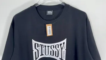 Champion flag T-shirt STUSSY FW24 CHAMPION TEE black and white S-XL