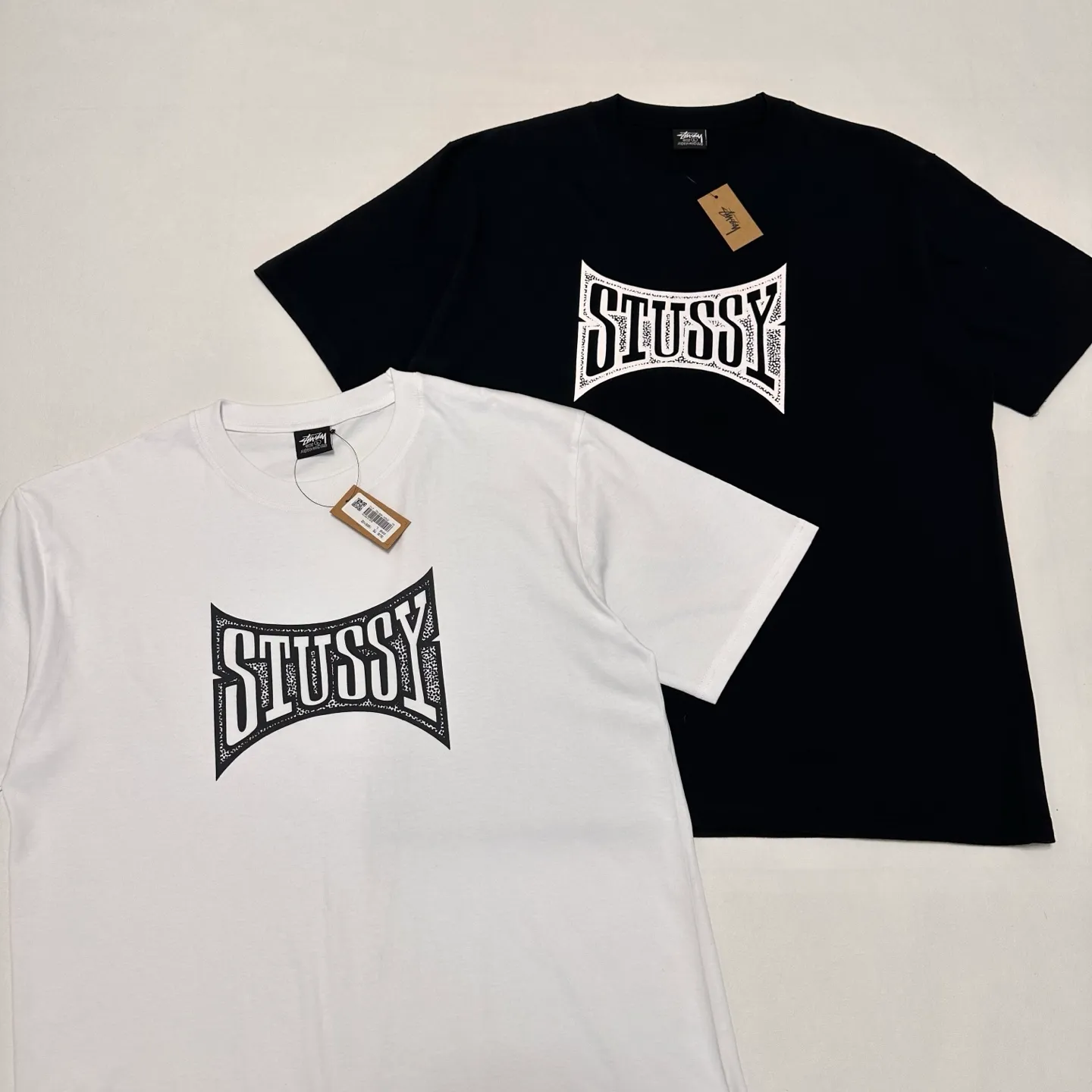 Champion flag T-shirt STUSSY FW24 CHAMPION TEE black and white S-XL