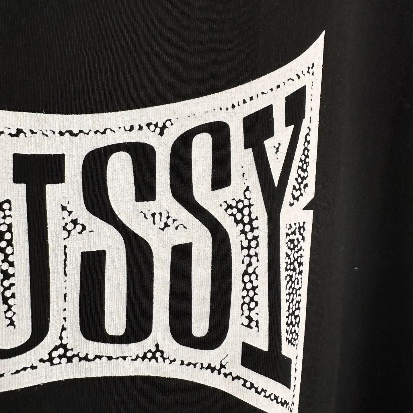 Replacement order and return of goods! Champion flag T-shirt STUSSY FW24 CHAMPION TEE black and white S-XL