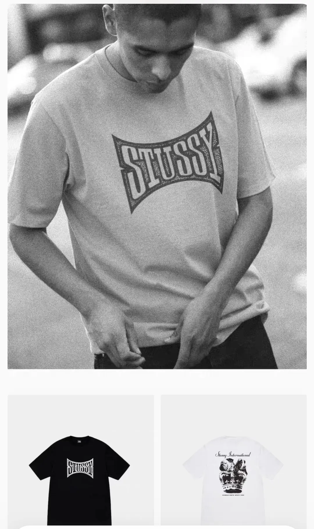 Champion flag T-shirt STUSSY FW24 CHAMPION TEE black and white S-XL