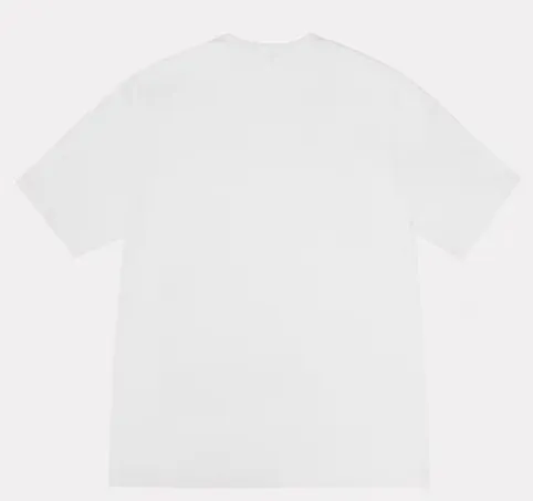 Tyrannosaurus Rex T-shirt STUSSY SS25 BIG & MEATY TEE PIGMENT DYED Dinosaur pattern short-sleeved black and white S- XL