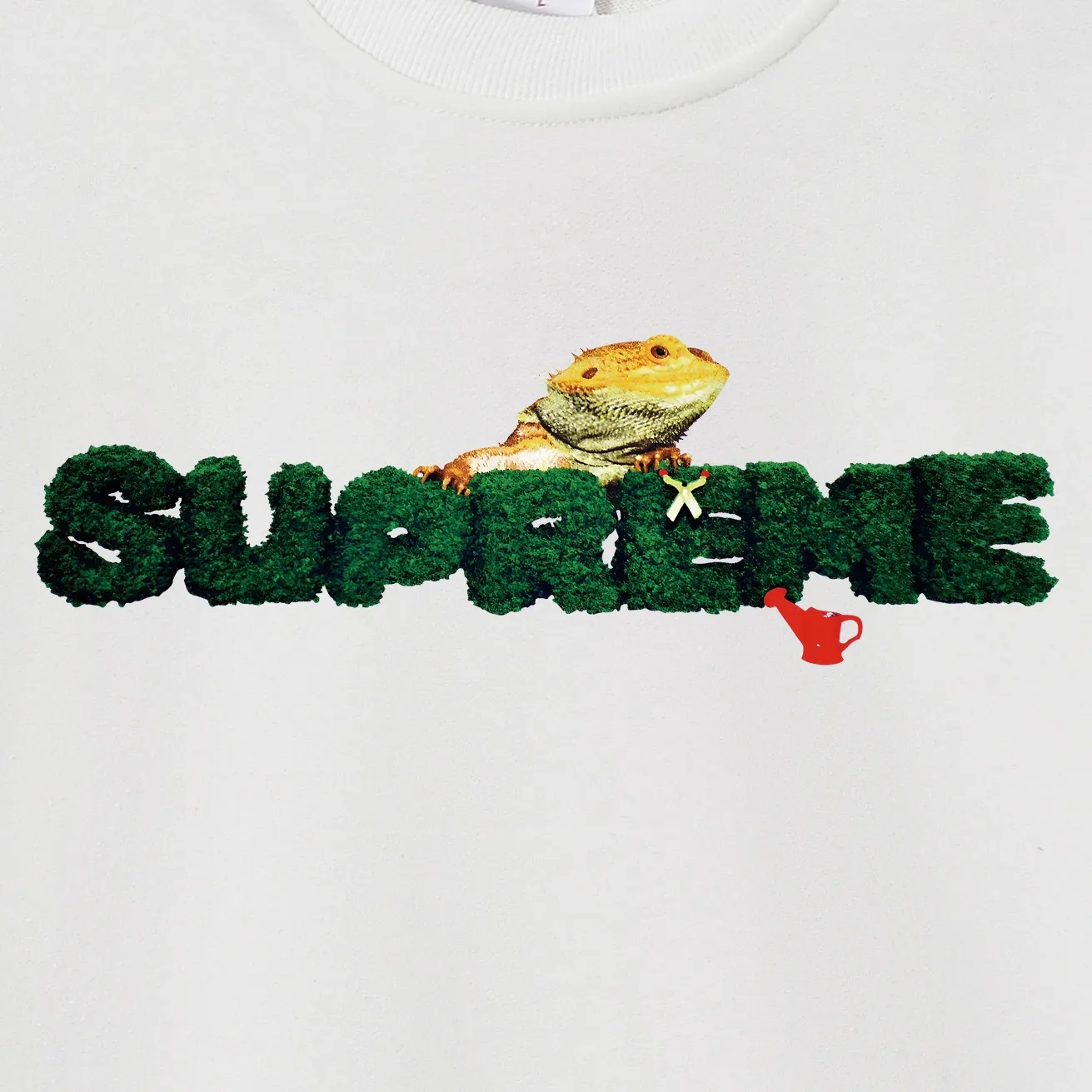 Style No. S2041 #terry P160💰 Velvet P170💰 Supreme Week 18 Lizard Tee Lizard pattern logo print hooded sweatshirt Made of 400g large terry 430g silver fox velvet (drop shoulder large version) fabric, soft texture and no pilling Imported environmentally friendly printing glue The pattern is bright and three-dimensional Quality 💥Same style for men and women The upper body is trendy Color: black white gray Size: S M L XL XXL