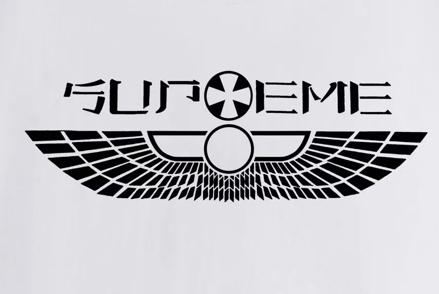 S204 P110💰 Sup style SS25 spring T-shirt series wings logo printed versatile round neck casual short-sleeved T-shirt. Same style for men and women. Loose fit. Made of 260g combed cotton double yarn. All three standards are complete from fabrics to accessories. ZP. Imported Matsui company slurry printing will never crack. The whole piece adopts three-needle five-thread technology. The neckline-shoulder seam-sleeve seam is double-lined, which looks more three-dimensional and textured.) The same process as the original version, classic version Feel free to compare zp. The whole piece adopts three-needle five-thread craftsmanship (neckline-shoulder seam-sleeve seam double thread, which looks more three-dimensional and textured). It has the same craftsmanship as the original original, classic version. Color: black, white, light gray, pink, navy. Size: S M L XL XXL
